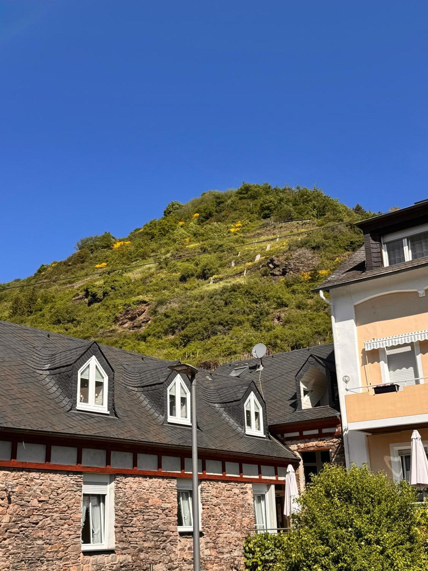 ホテル Ferienweingut Rudorfer ヴァルヴィヒ 部屋 写真