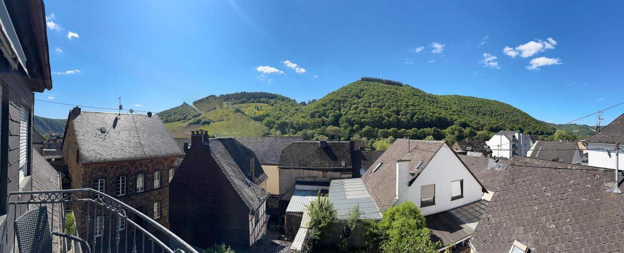 ホテル Ferienweingut Rudorfer ヴァルヴィヒ 部屋 写真