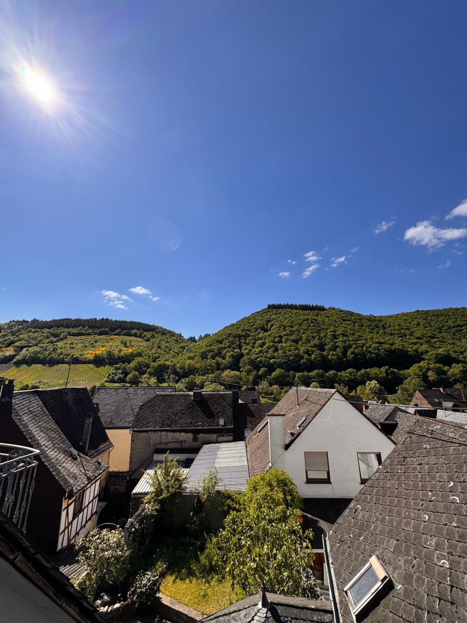 ホテル Ferienweingut Rudorfer ヴァルヴィヒ 部屋 写真