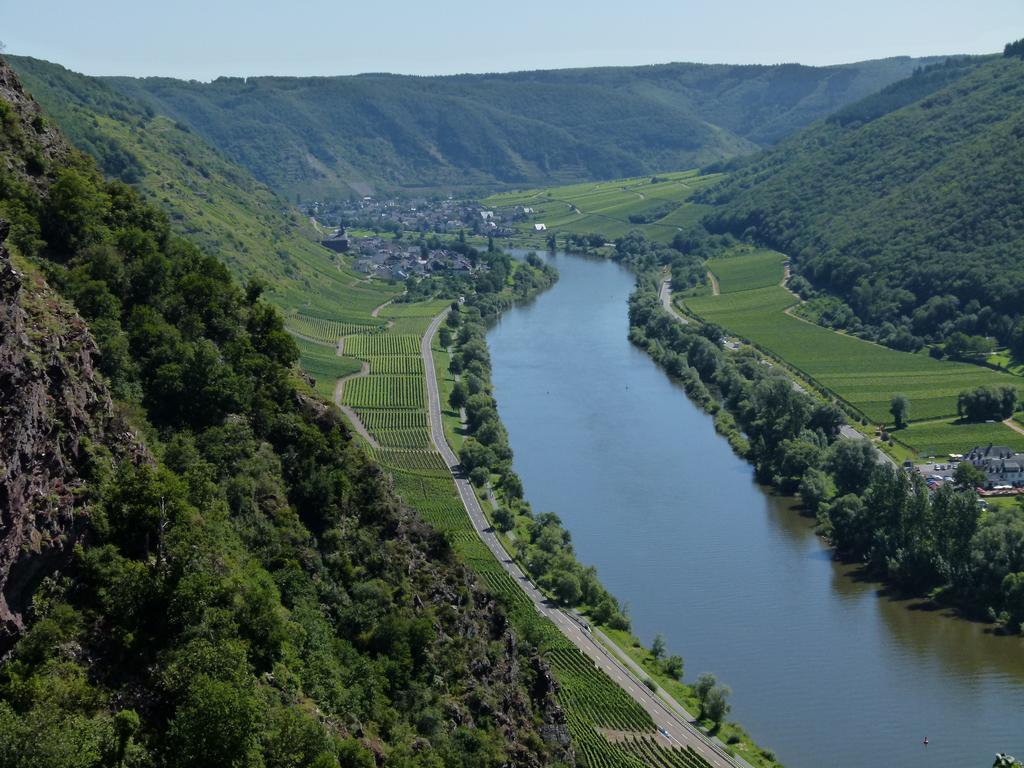 ホテル Ferienweingut Rudorfer ヴァルヴィヒ エクステリア 写真