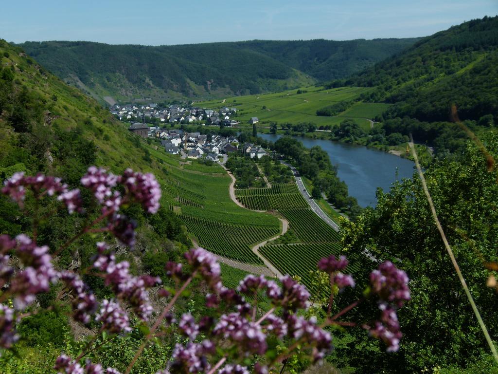 ホテル Ferienweingut Rudorfer ヴァルヴィヒ エクステリア 写真